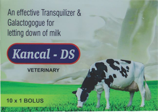 Kanliv Syrup